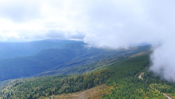 Skrzyczne