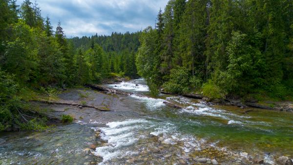Jaworowy potok