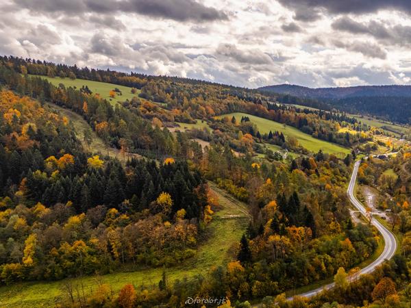 Lasy w Bieszczadach