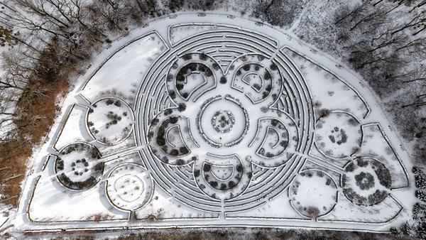 Arboretum Bramy Morawskiej