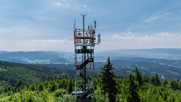 Ruprechticki Szpiczak